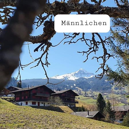 Apartment Lilalama Grindelwald Luaran gambar