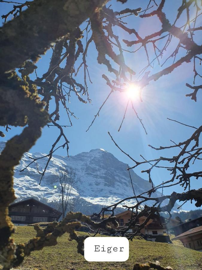 Apartment Lilalama Grindelwald Luaran gambar