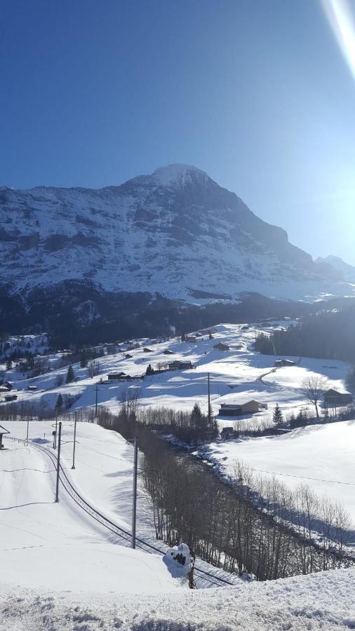 Apartment Lilalama Grindelwald Luaran gambar